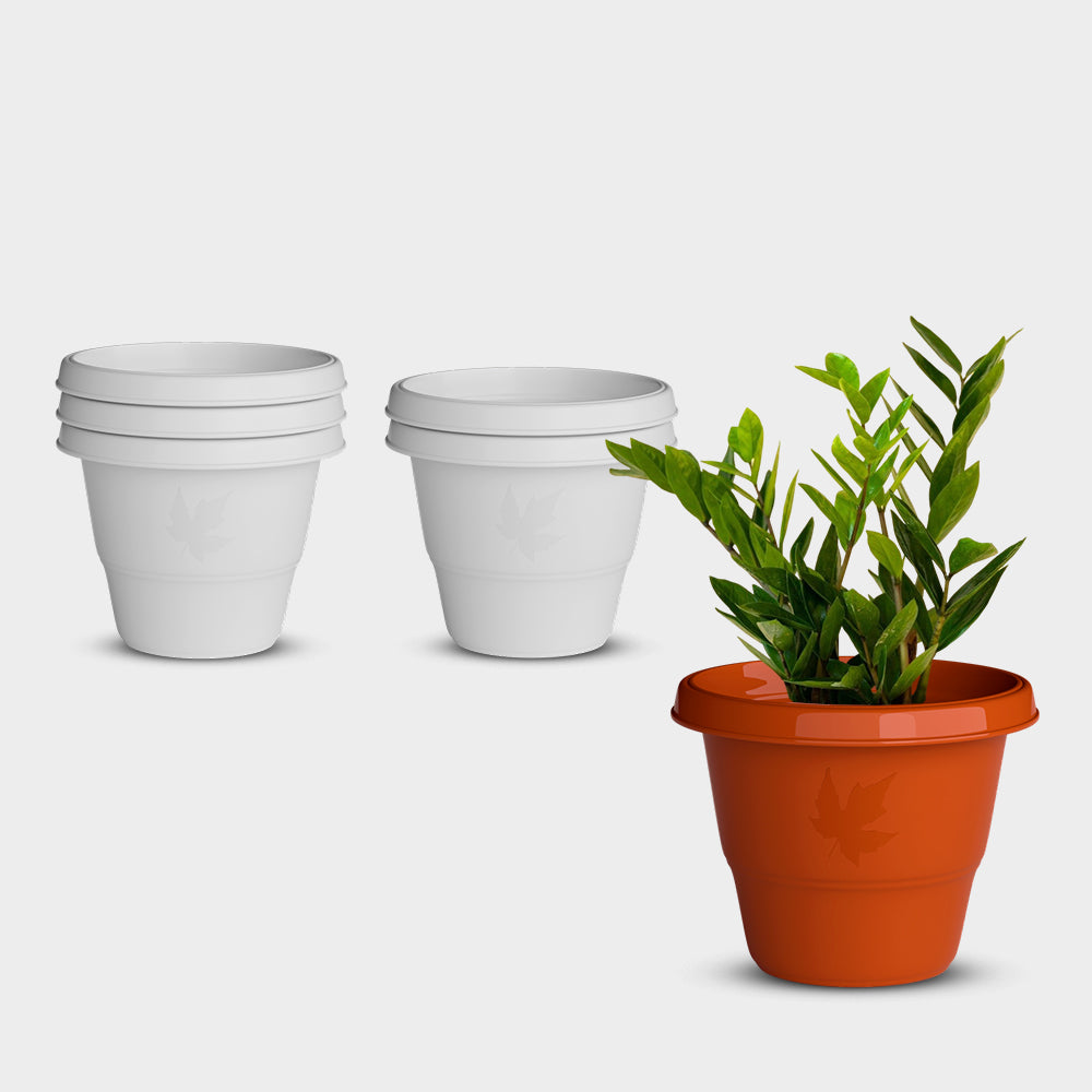 SHERA | RD PLANTER