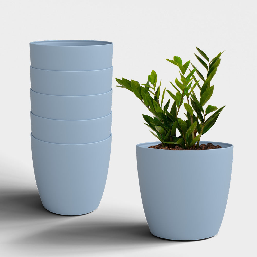 SHERA | STELLA PLANTER