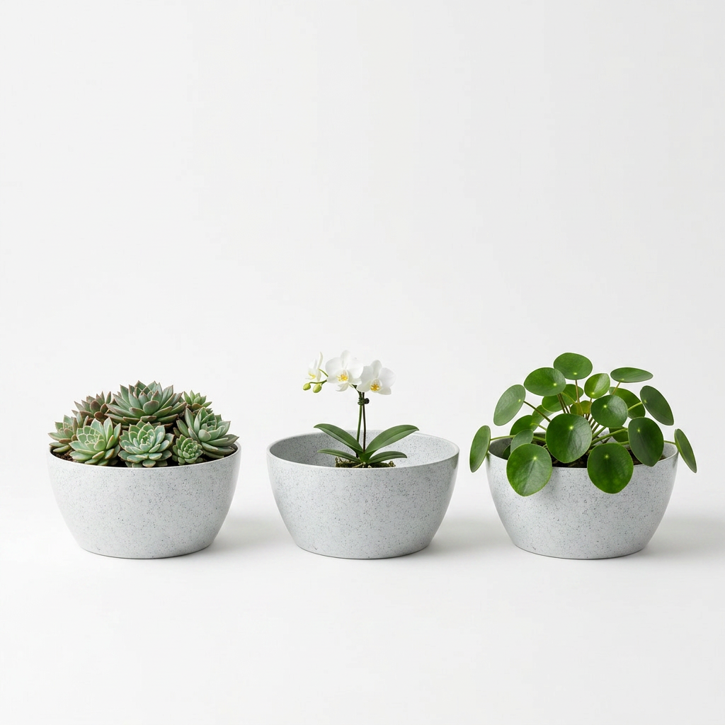 SHERA | STELLA K PLANTER