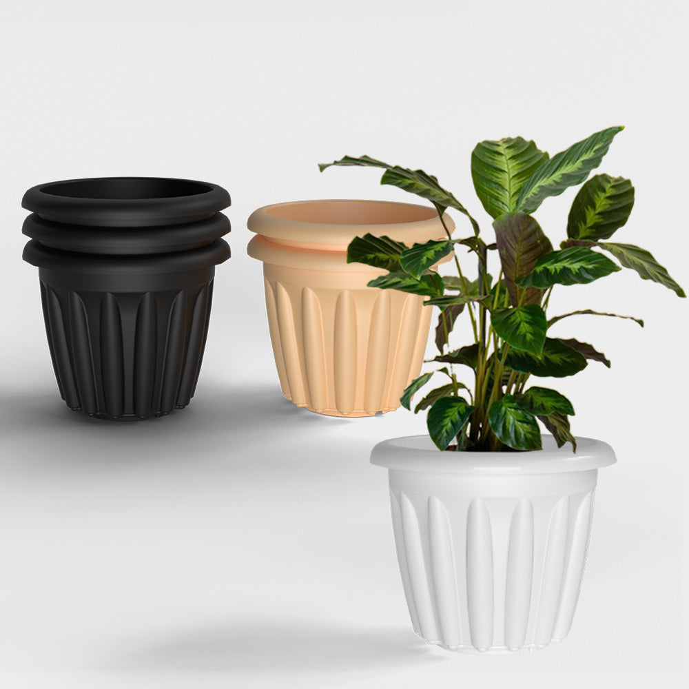 SHERA | FLOOT PLANTER
