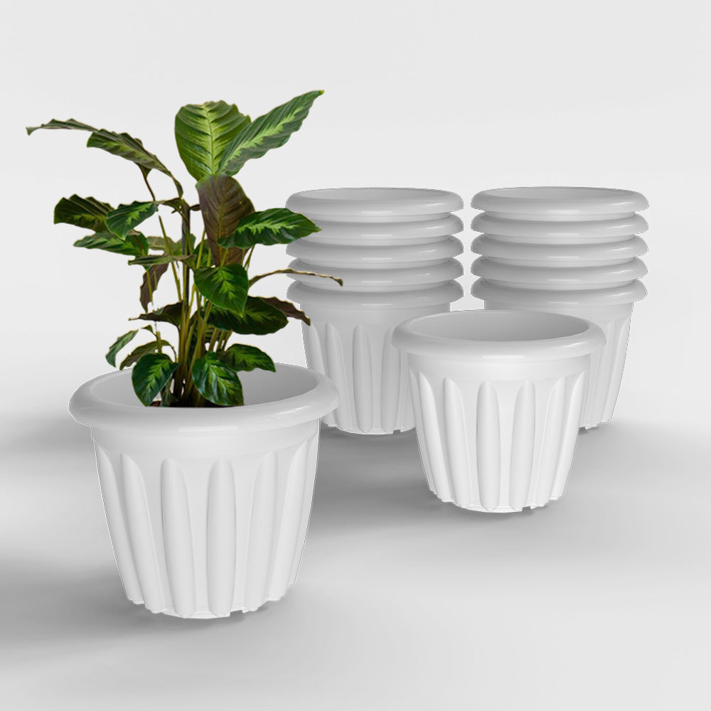 SHERA | FLOOT PLANTER