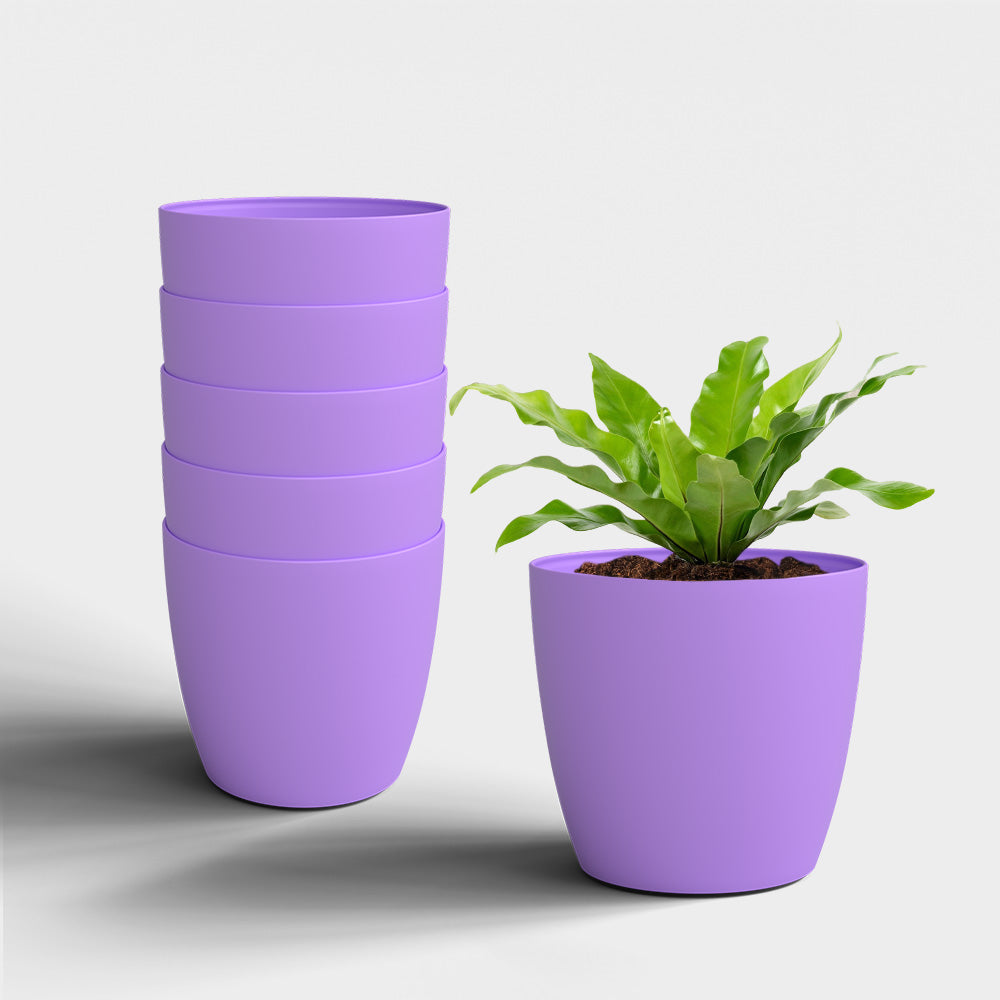 SHERA | STELLA PLANTER