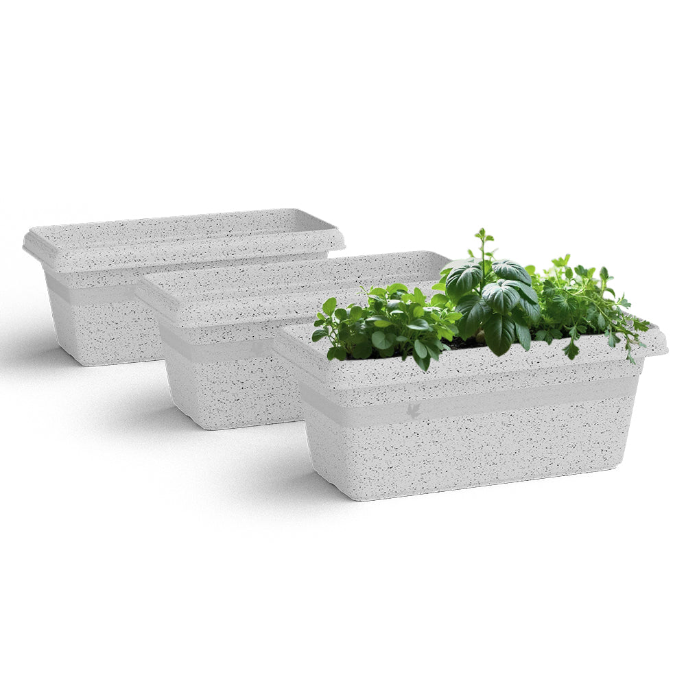 SHERA | TP PLANTER