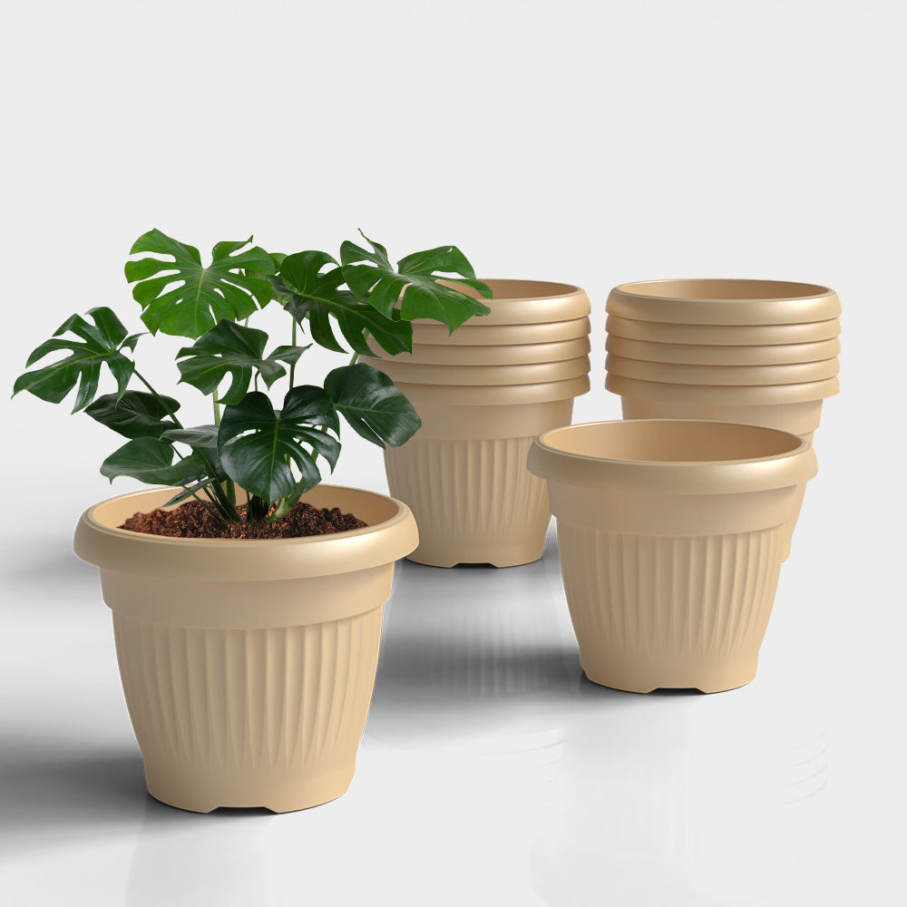 SHERA | BLOOM PLANTER