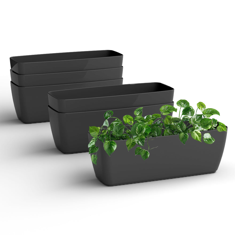 SHERA | CABI TRAY PLANTER