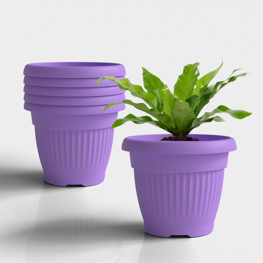 SHERA | BLOOM PLANTER