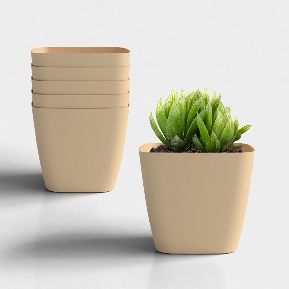 SHERA | STOIC PLANTER