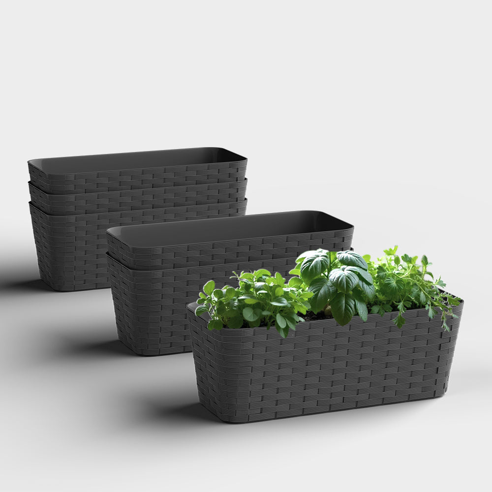 SHERA | RATTAN TRAY