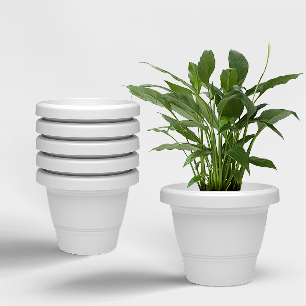 SHERA | SD PLANTER