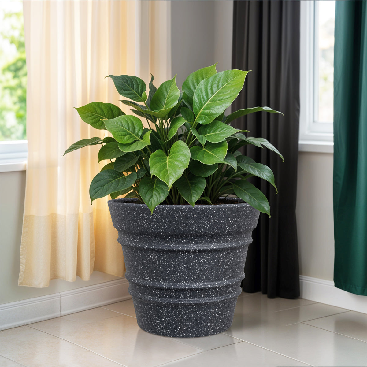 FOX B | BR PLANTER