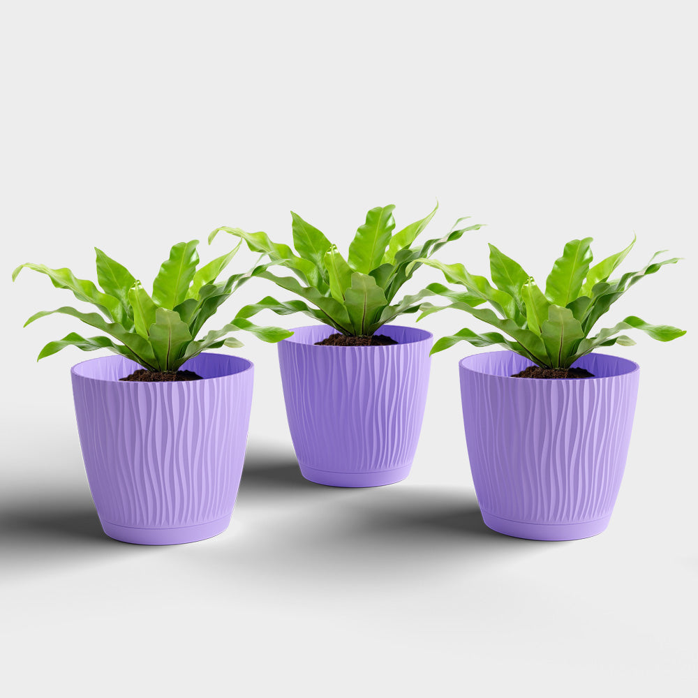 SHERA | EVA PLANTER