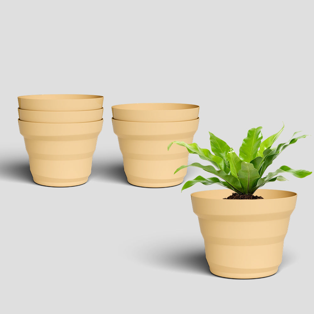 SHERA | RING PLANTER