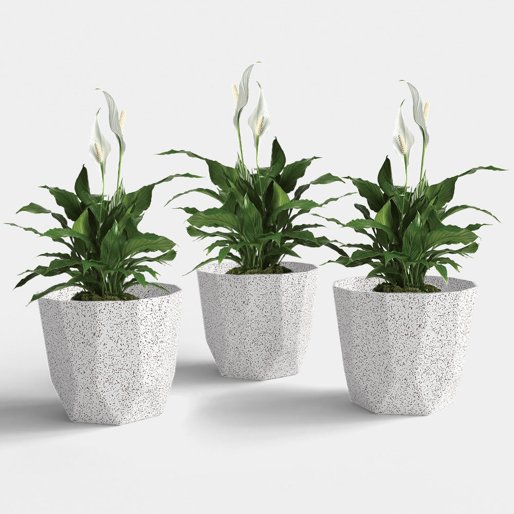 SHERA | HEXA PLANTER