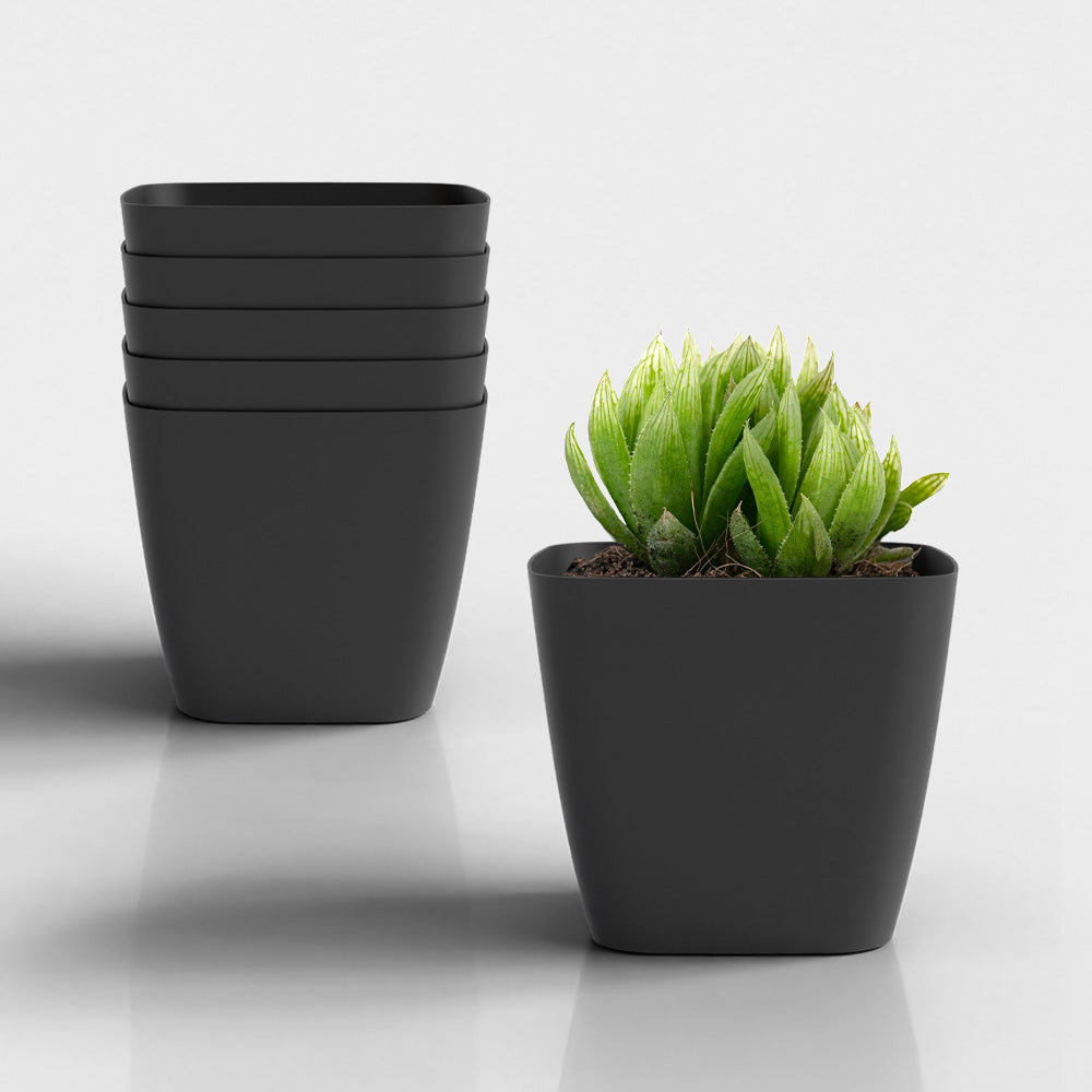 SHERA | STOIC PLANTER