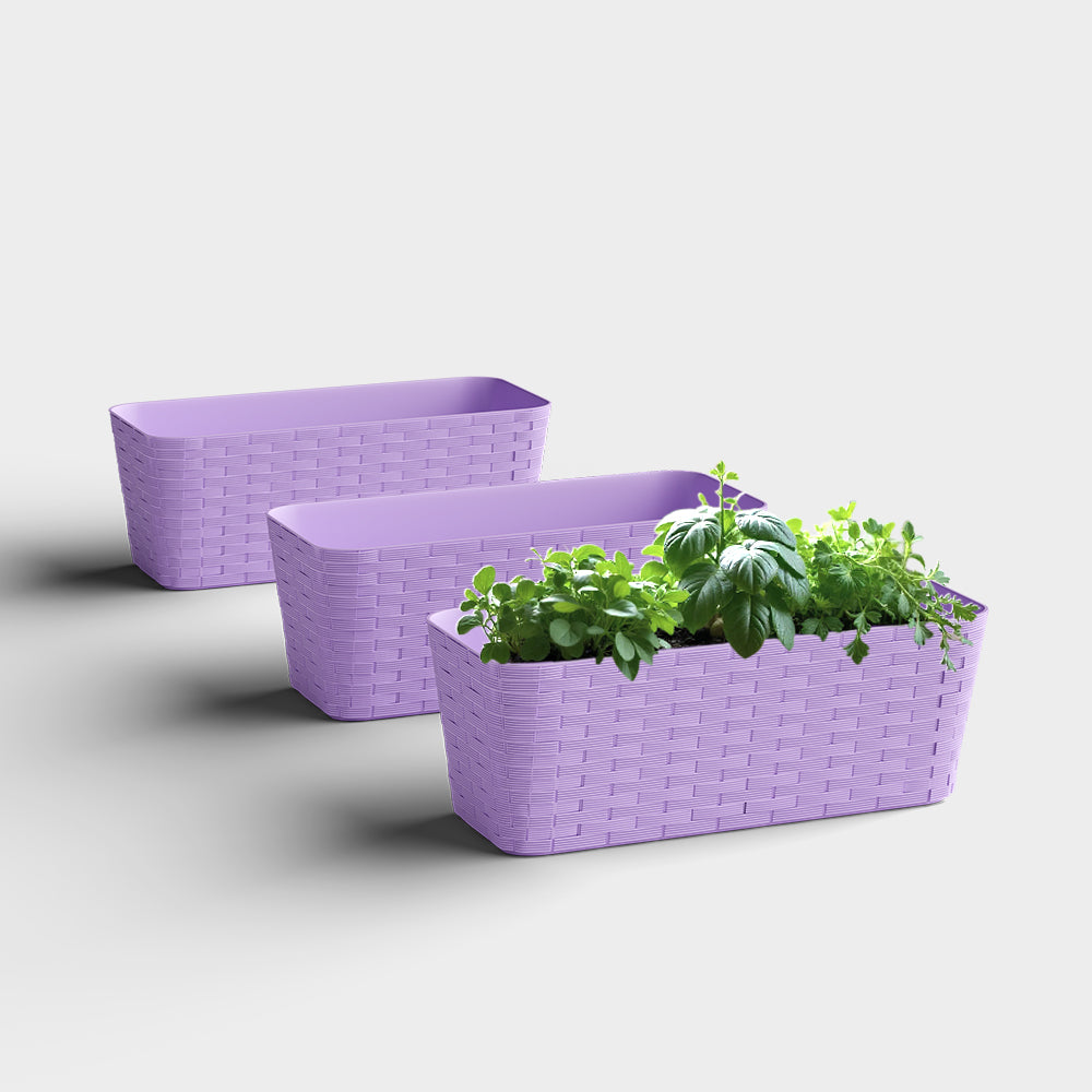SHERA | RATTAN TRAY