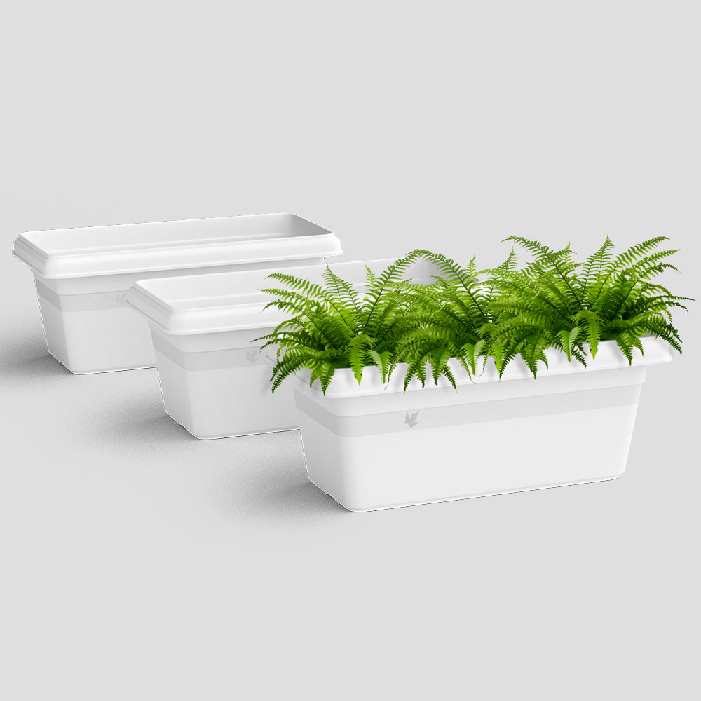 SHERA | TP PLANTER