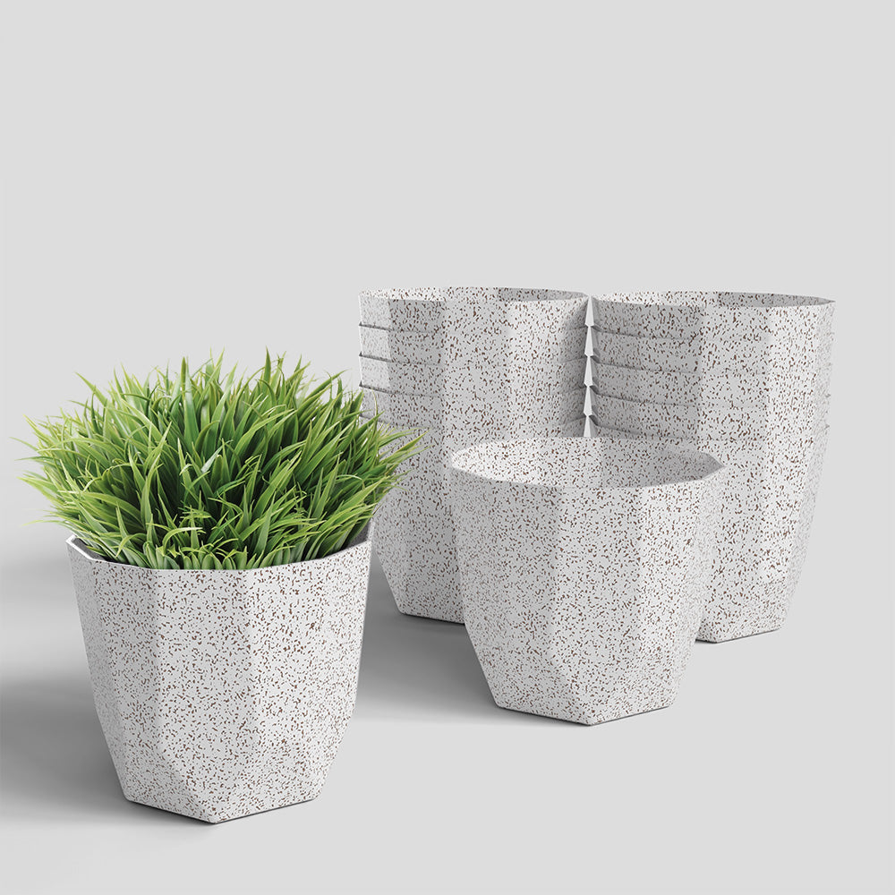 SHERA | HEXA BIO PLANTER