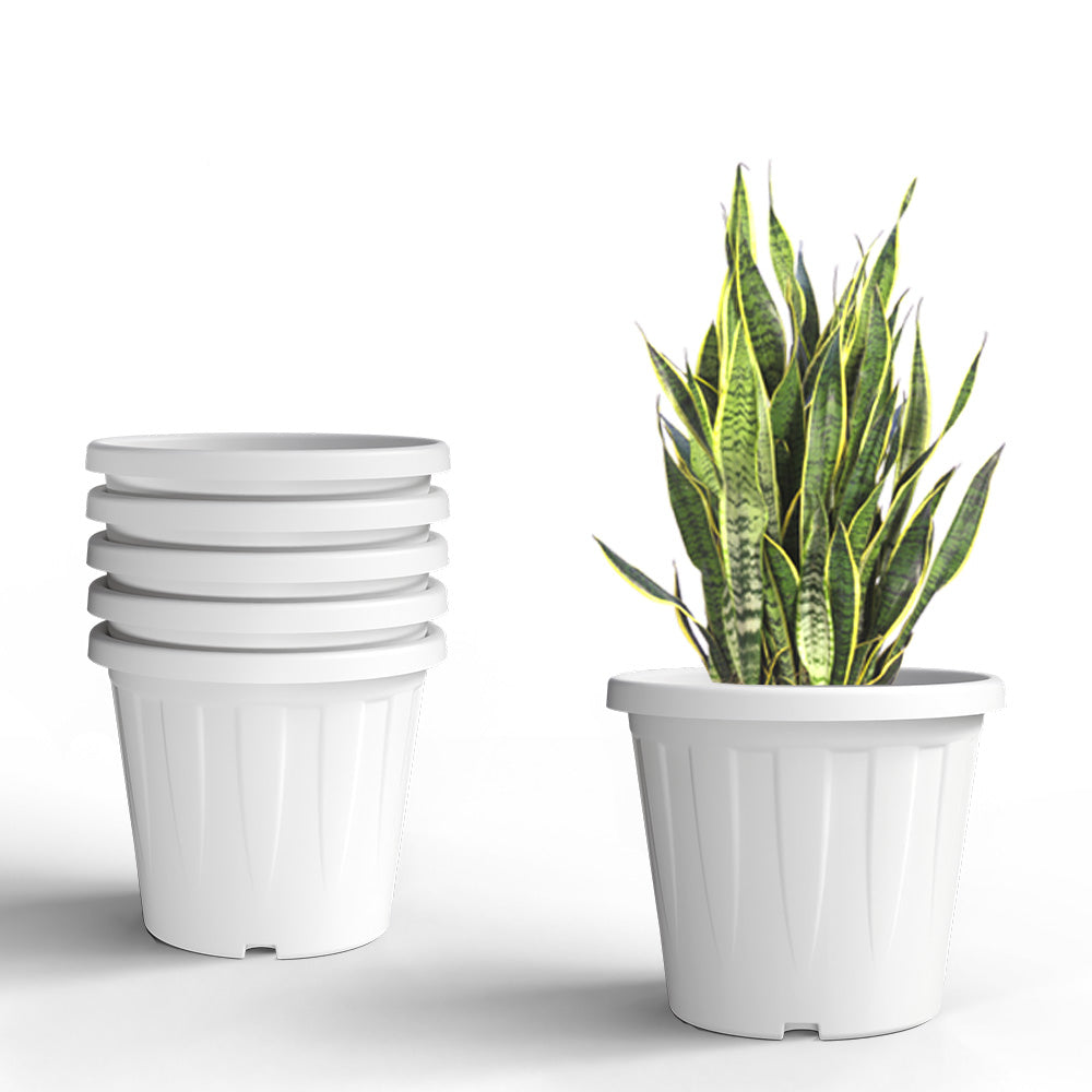 SHERA | CROWN PLANTER