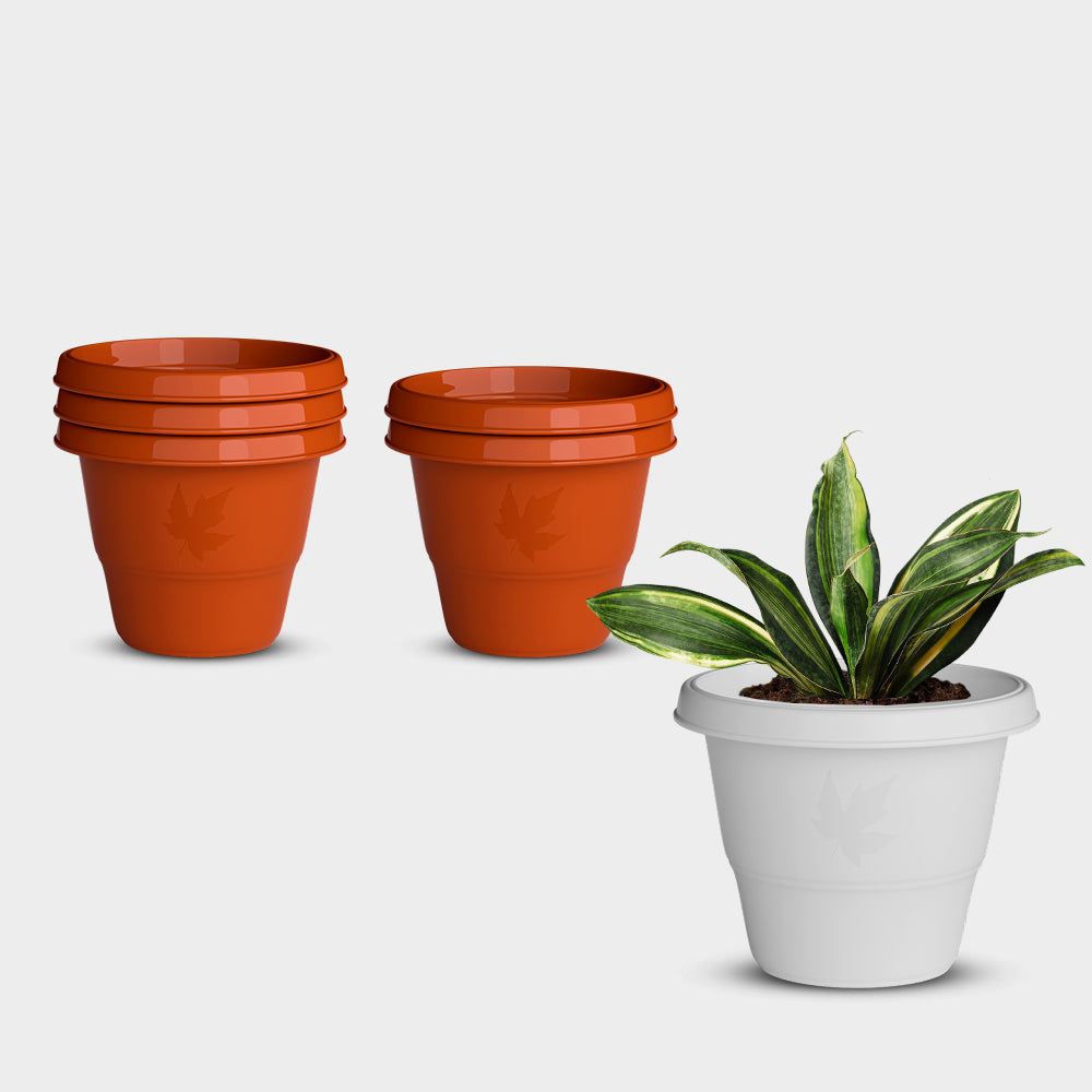 SHERA | RD PLANTER
