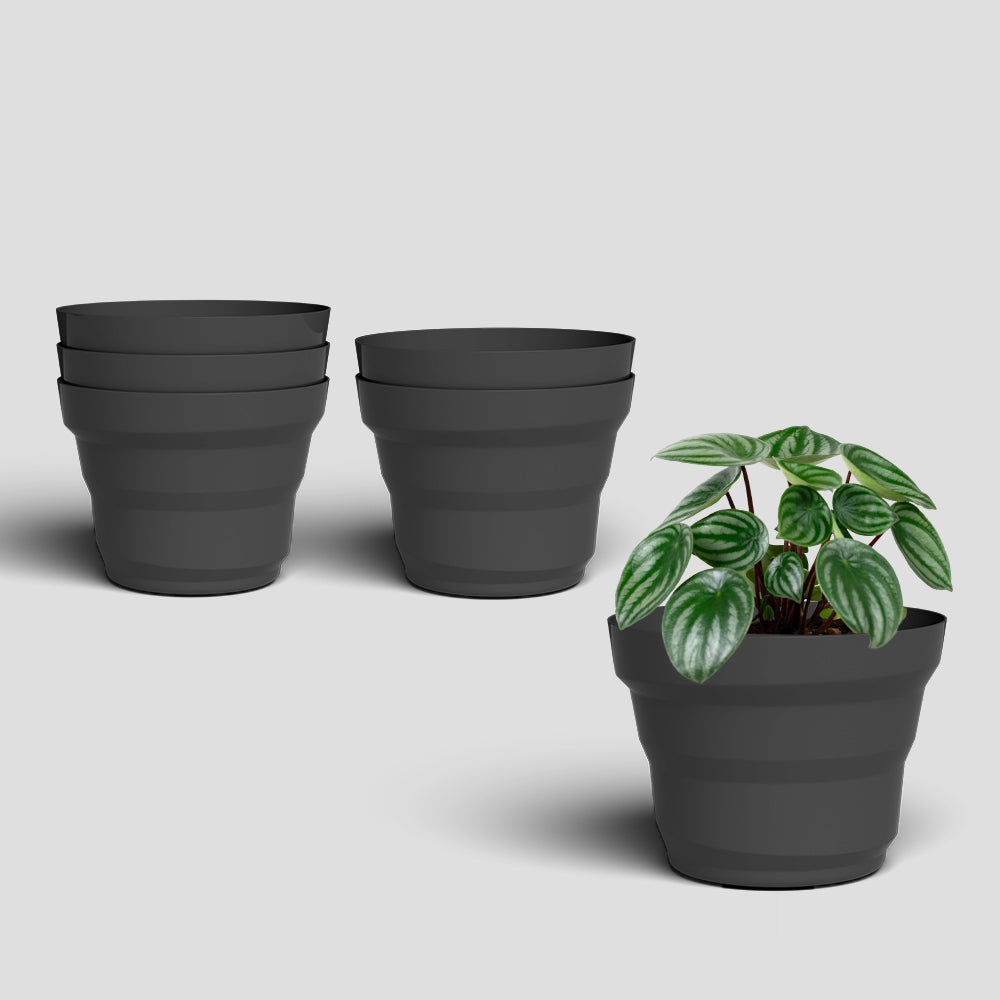 SHERA | RING PLANTER