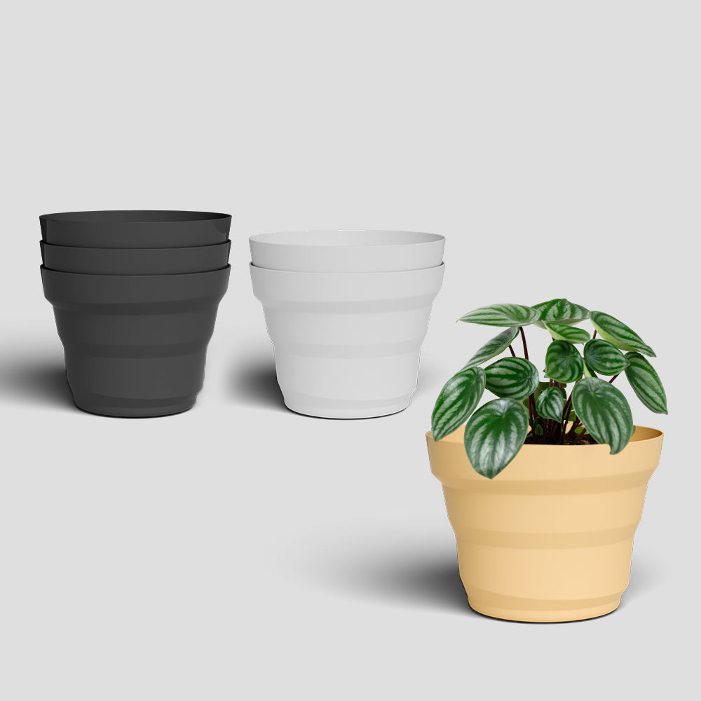 SHERA | RING PLANTER