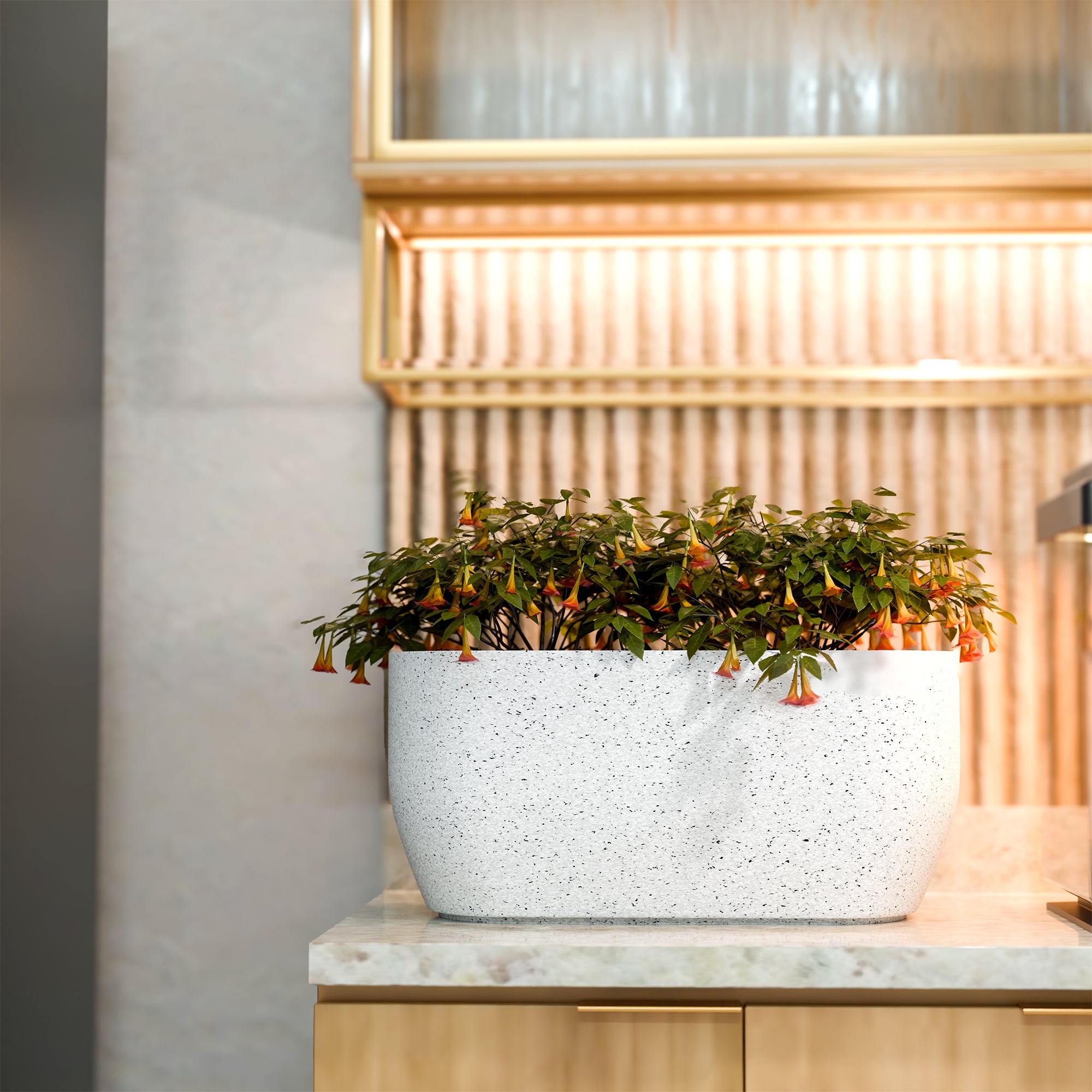 FOX B | PCTR PLANTER