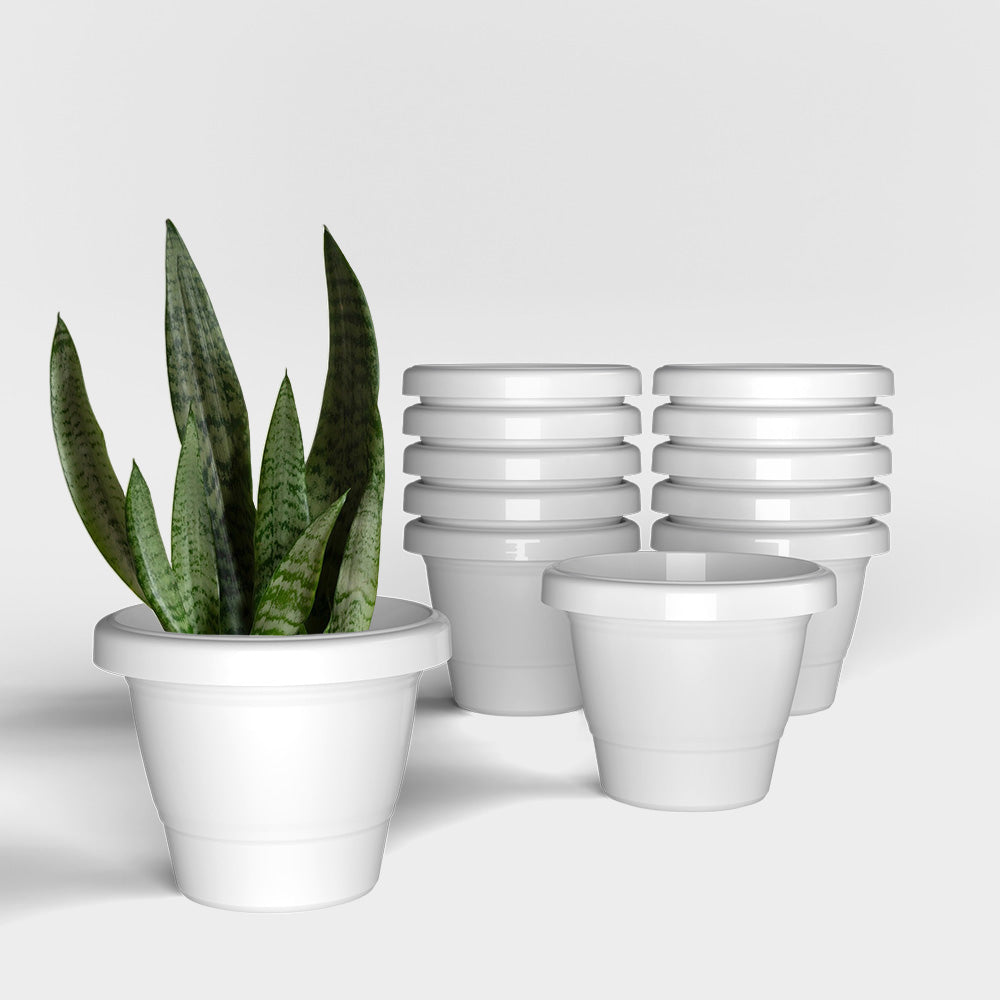 SHERA | SD PLANTER