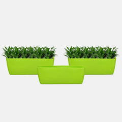 SHERA | CABI Tray Planter