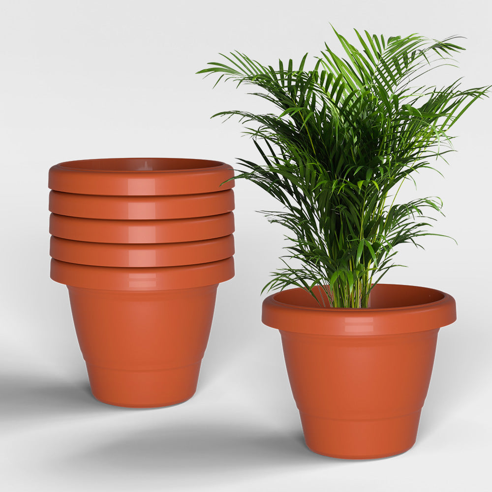 SHERA | SD PLANTER