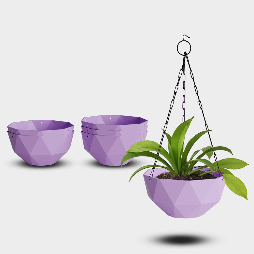 SHERA | DMD KTR HANGING