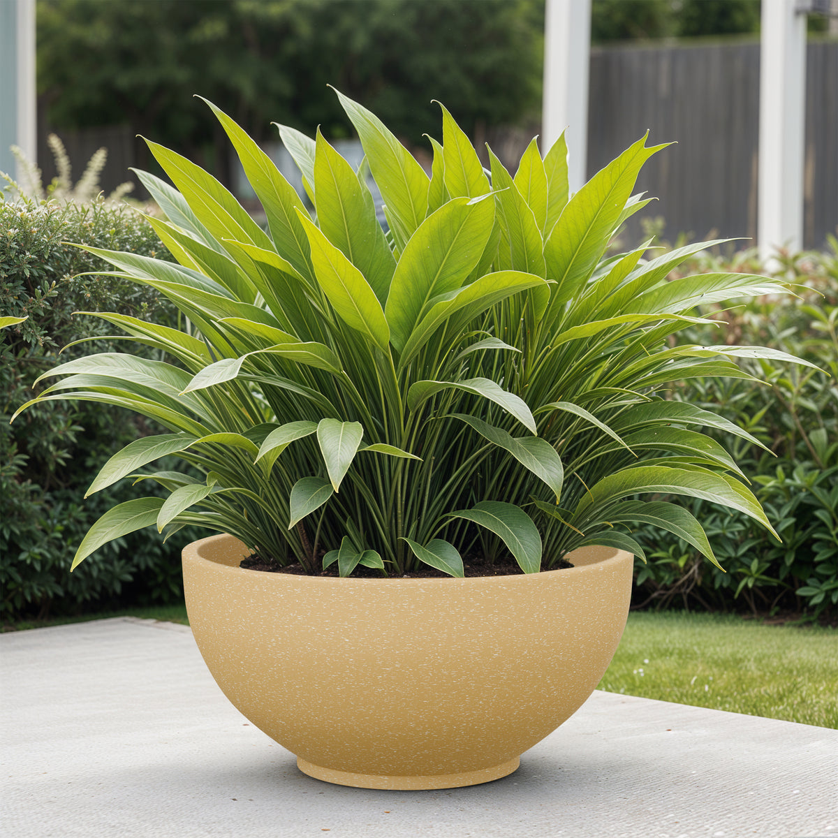 FOX B | KTR PLANTER