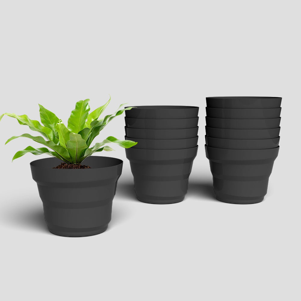SHERA | RING PLANTER