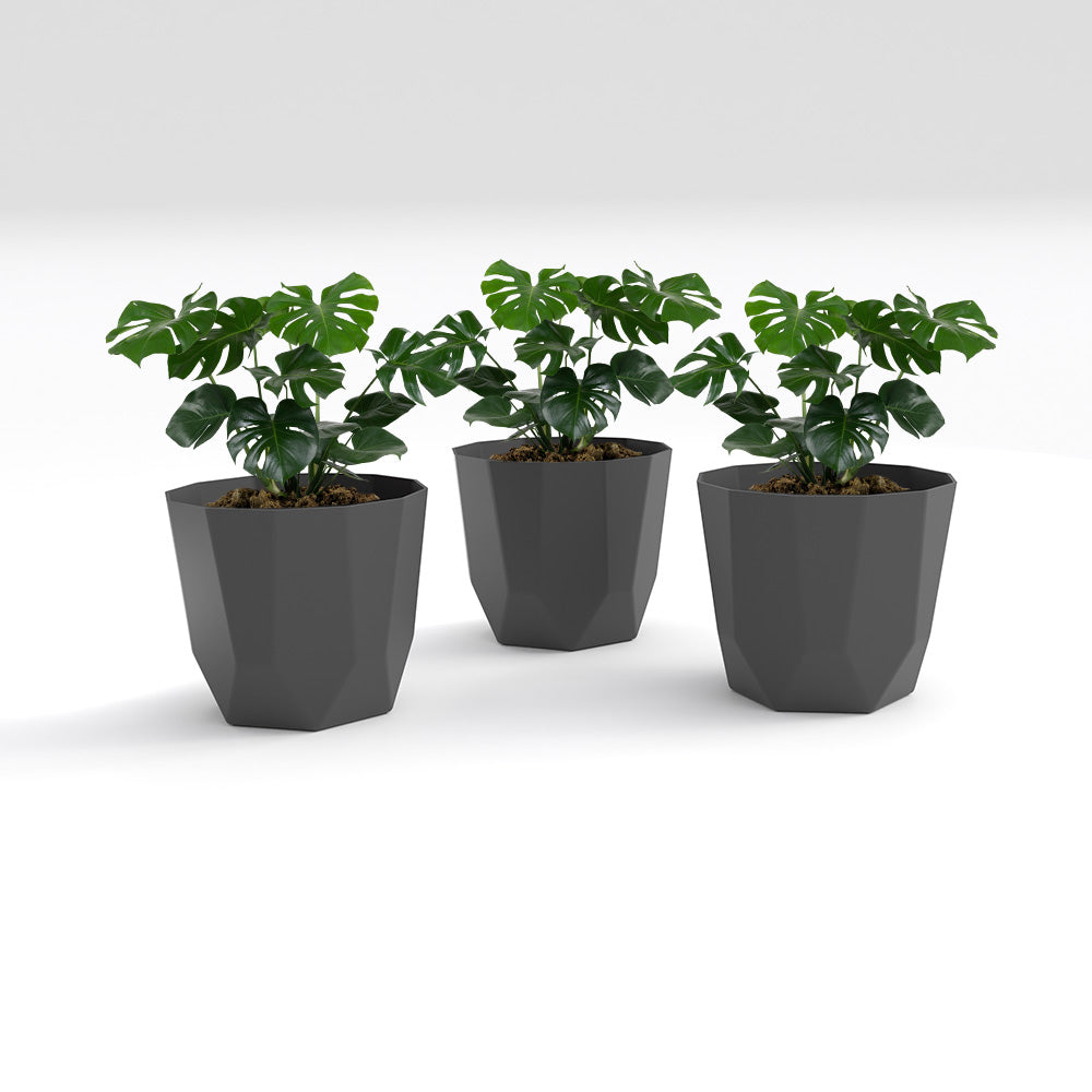 SHERA | HEXA PLANTER