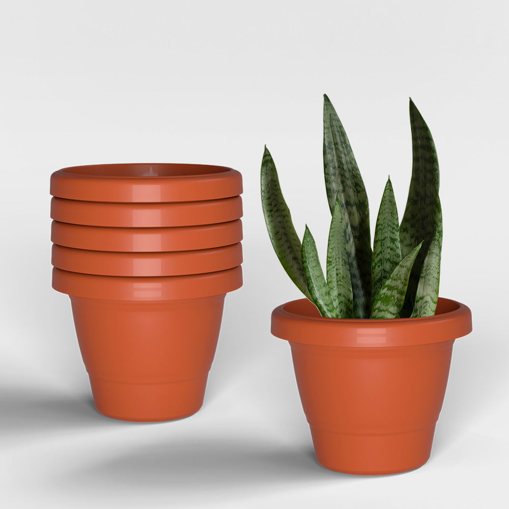 SHERA | SD PLANTER