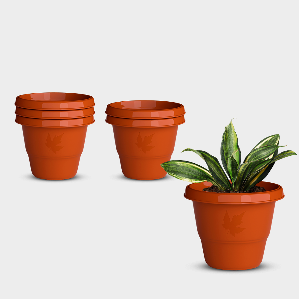 SHERA | RD PLANTER