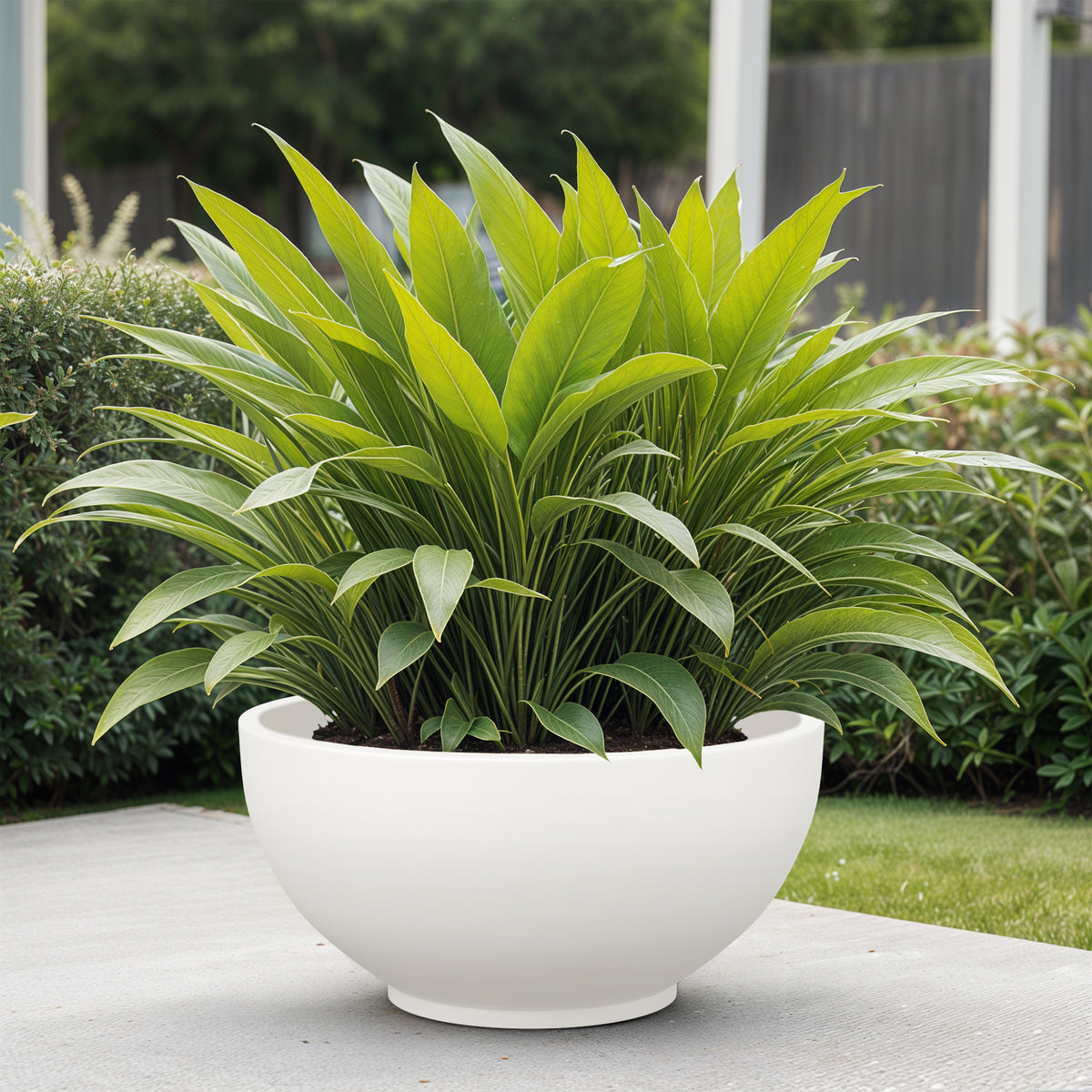 FOX B | KTR PLANTER