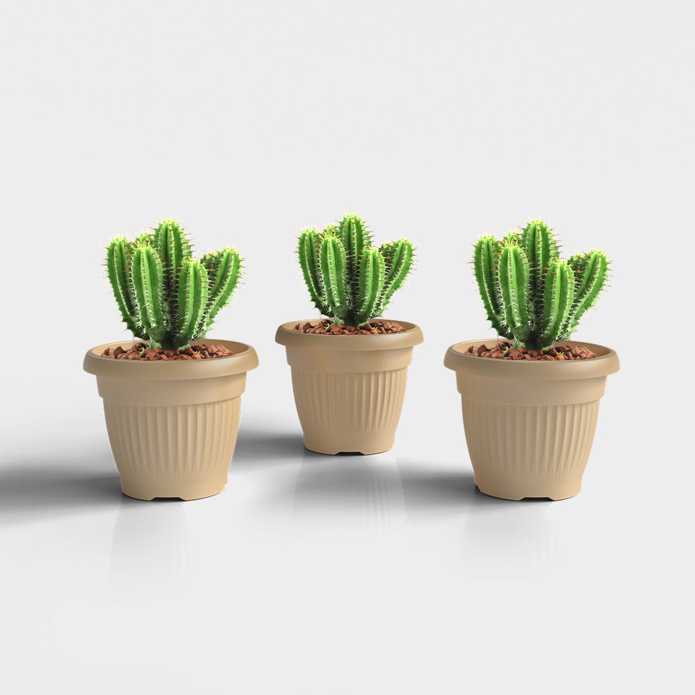 SHERA | BLOOM PLANTER