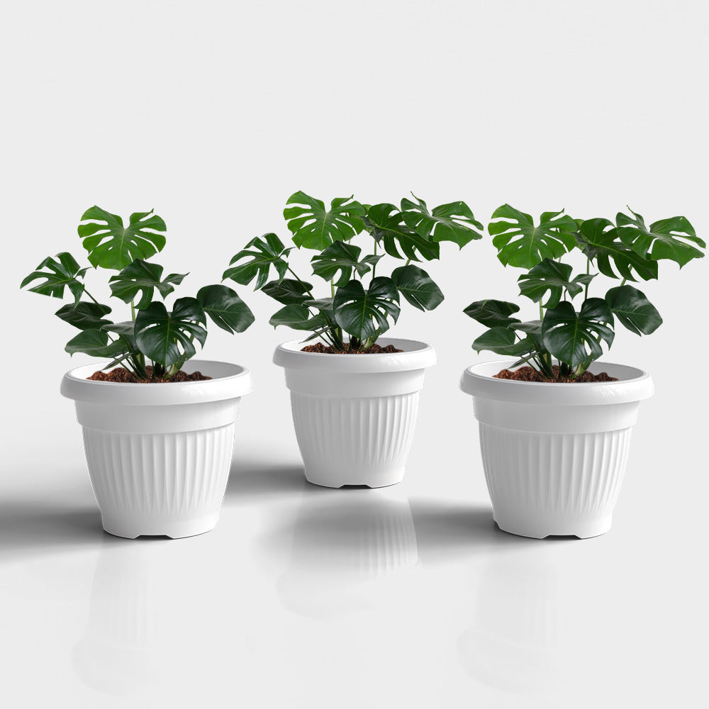 SHERA | BLOOM PLANTER