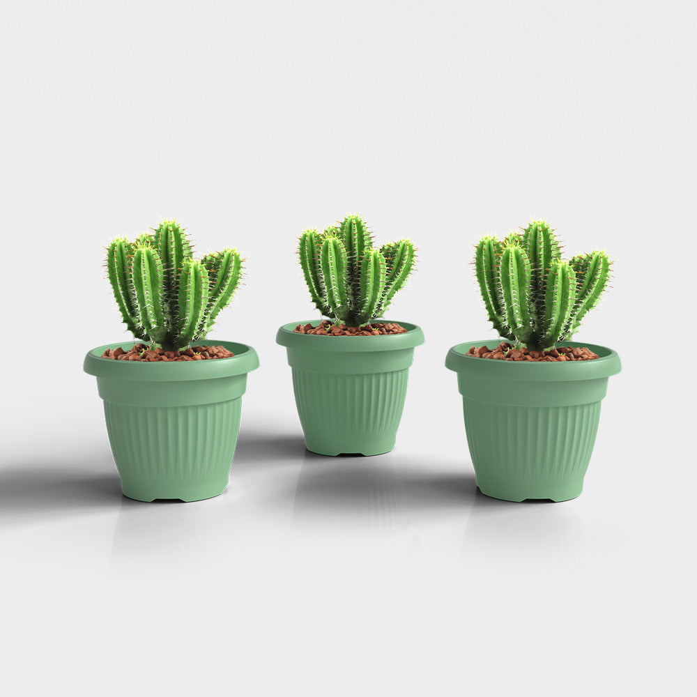 SHERA | BLOOM PLANTER