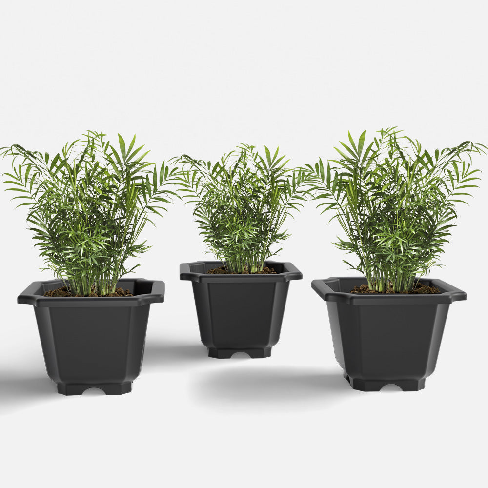 SHERA | OCTA PLANTER SET OF 3