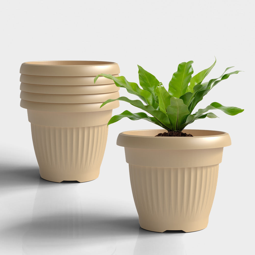 SHERA | BLOOM PLANTER