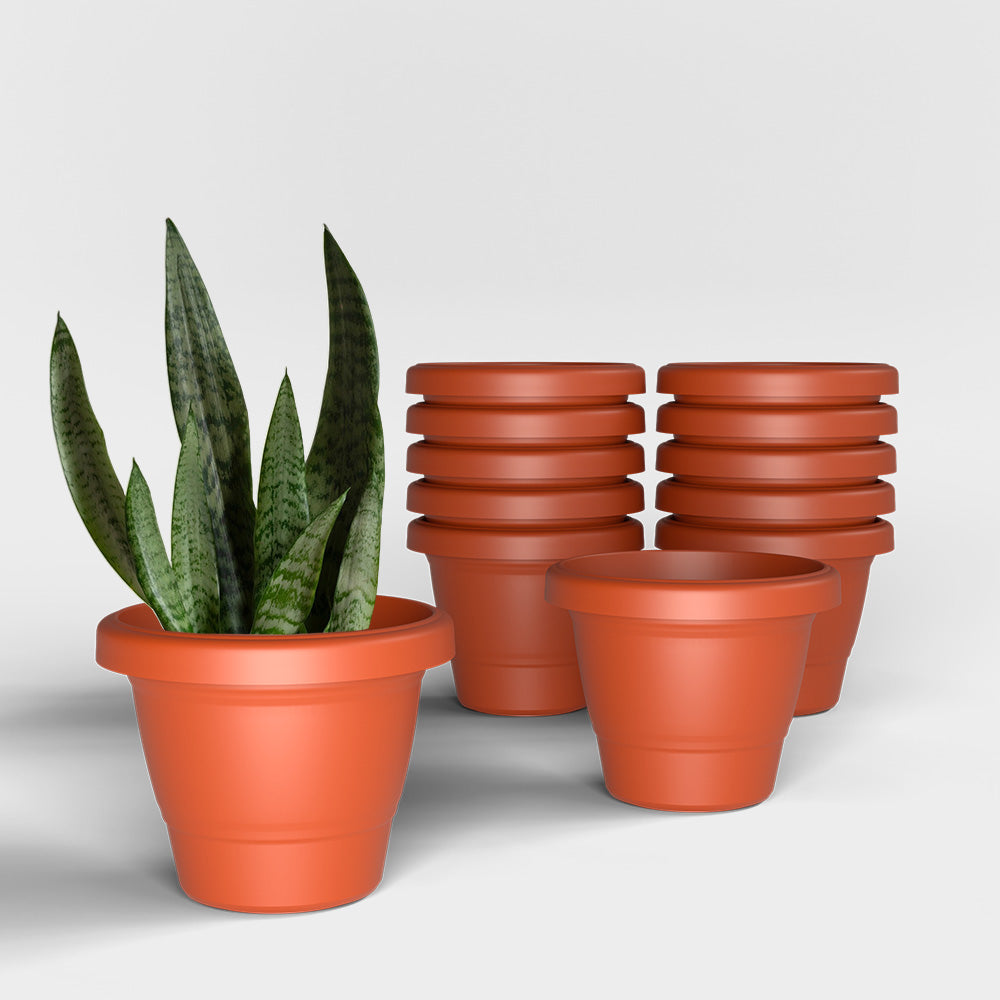 SHERA | SD PLANTER