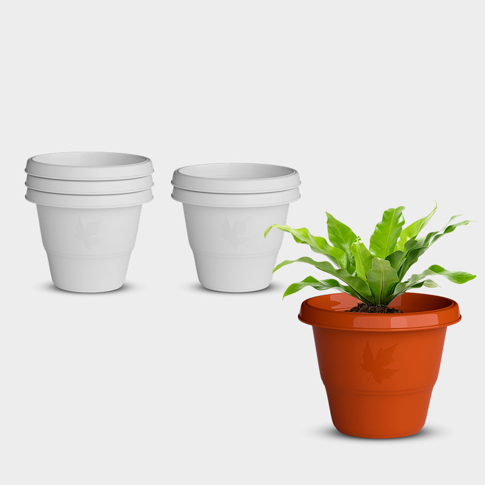 SHERA | RD PLANTER