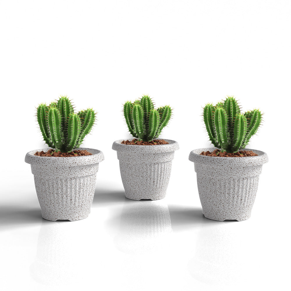 SHERA | BLOOM PLANTER