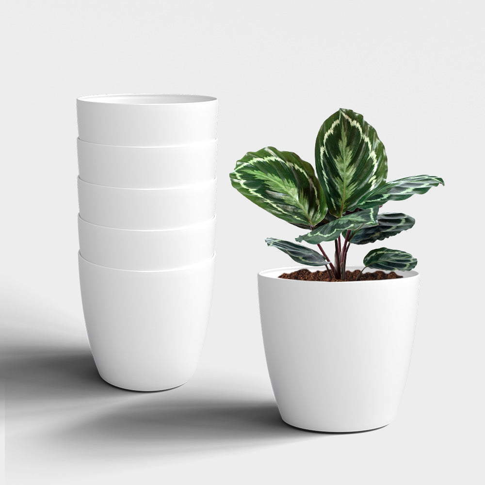 SHERA | STELLA PLANTER
