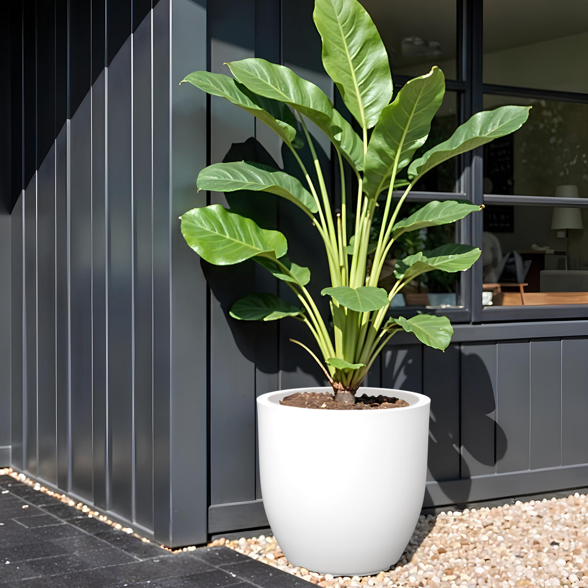 FOX B | P CUP PLANTER 17 INCH TO 40 INCH