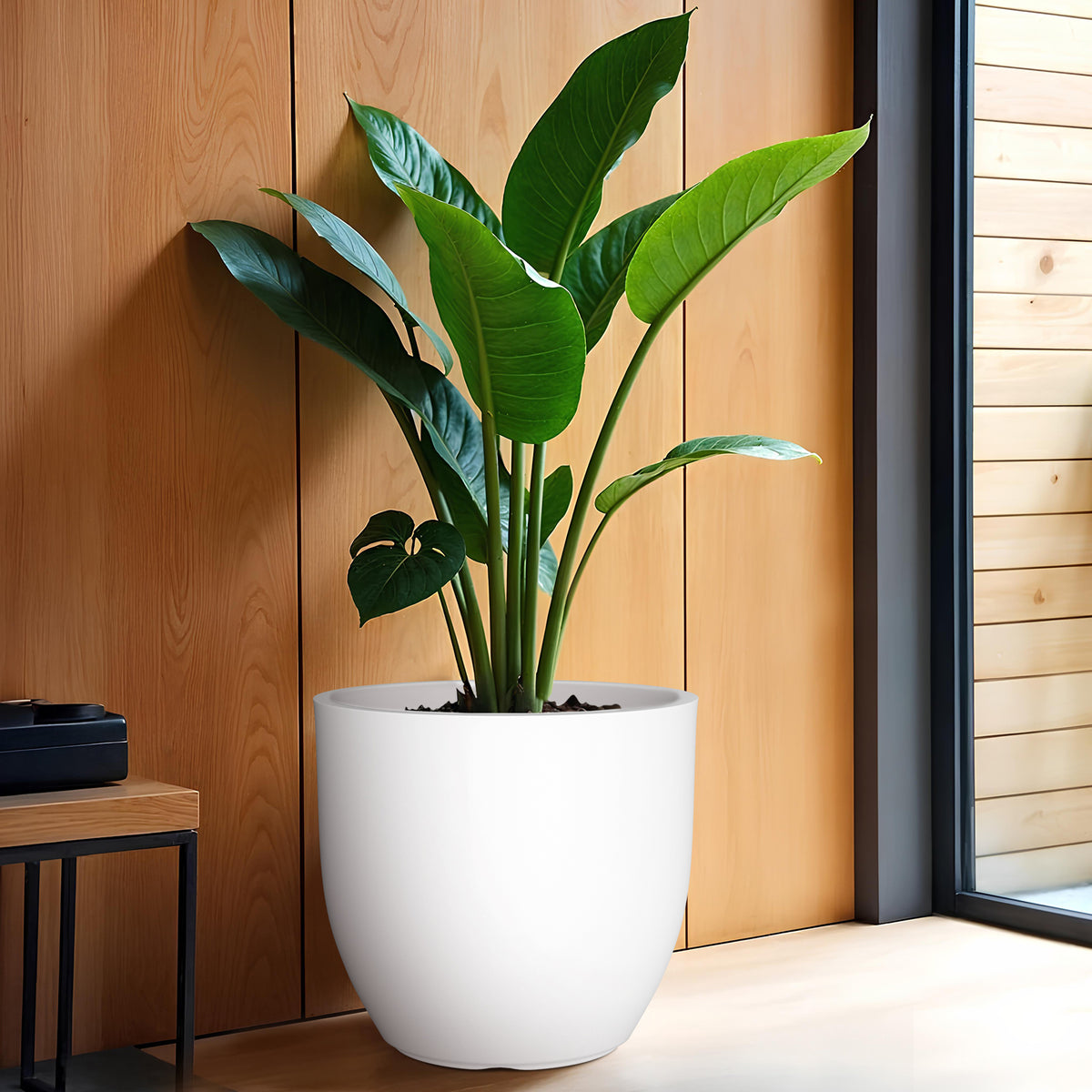 FOX B | P CUP PLANTER 17 INCH TO 40 INCH
