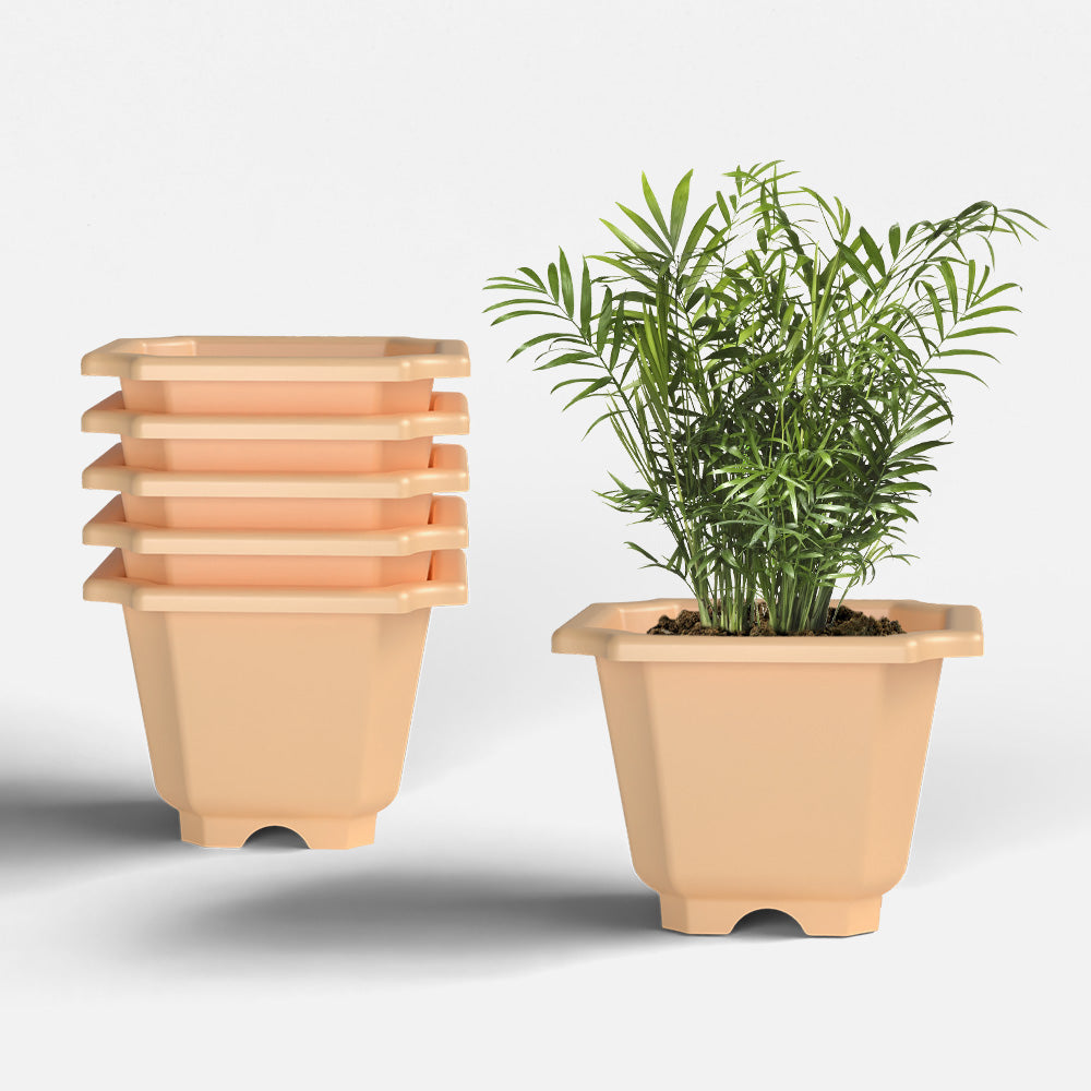 SHERA | OCTA PLANTER SET OF 6
