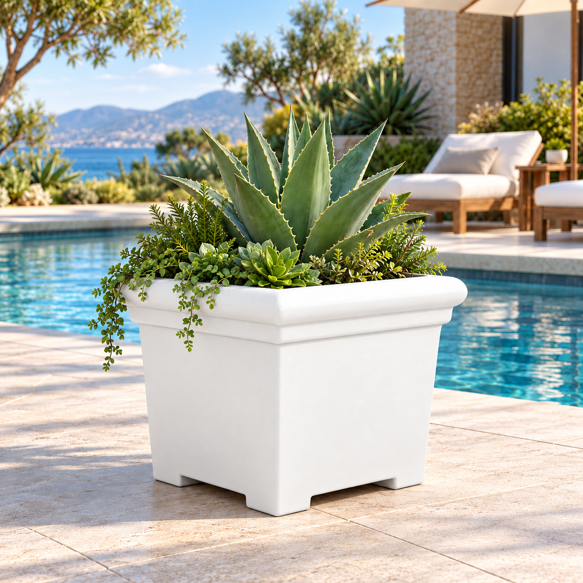 FOX B | BS PLANTER