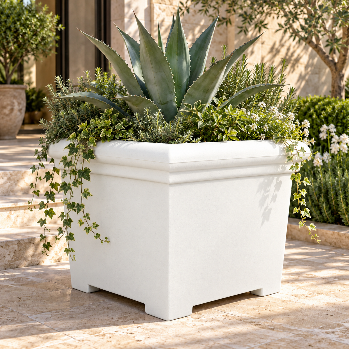 FOX B | BS PLANTER